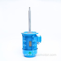 Custom Long Shaft Electric Motor